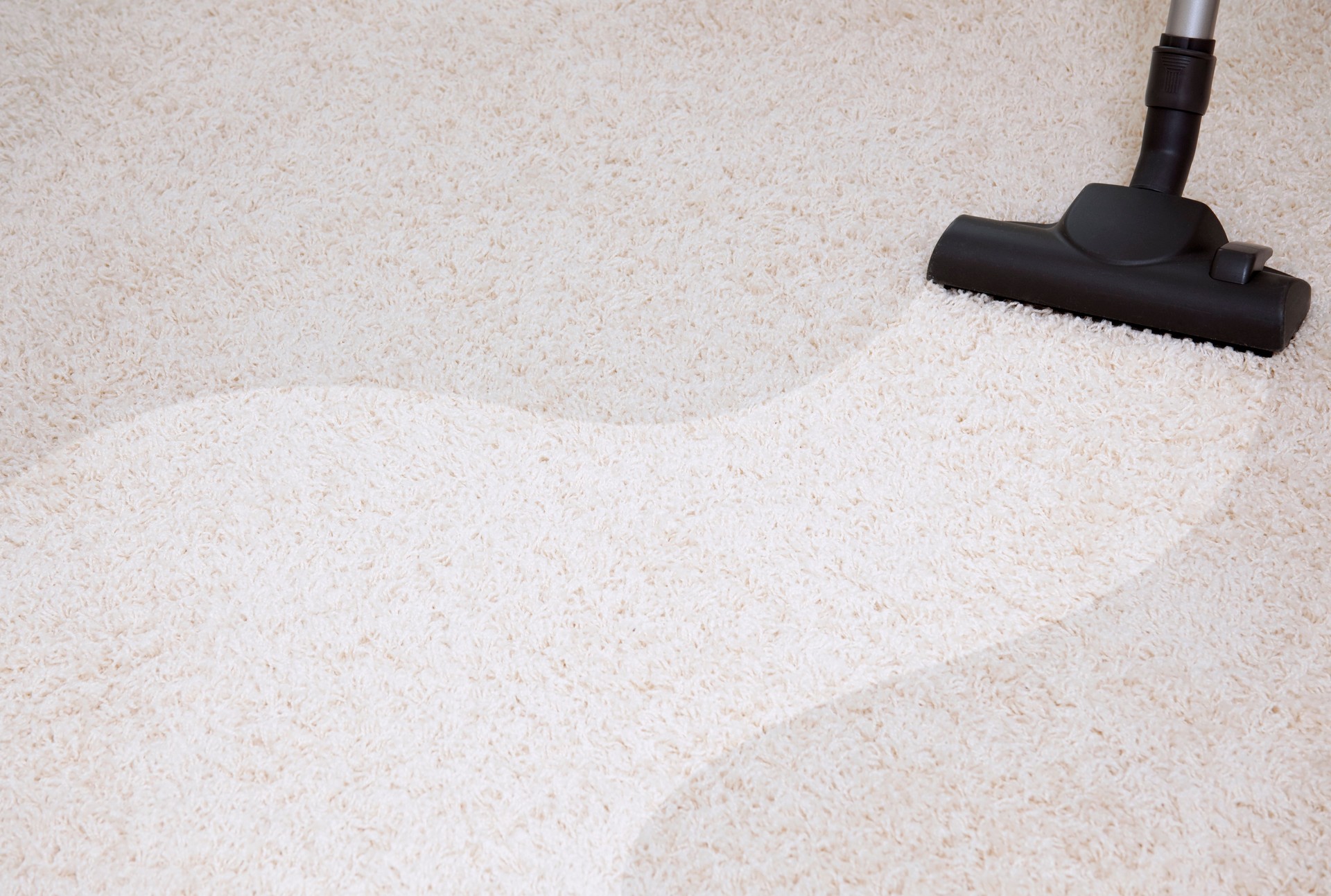 Carpet Cleaning in Nashville, TN
