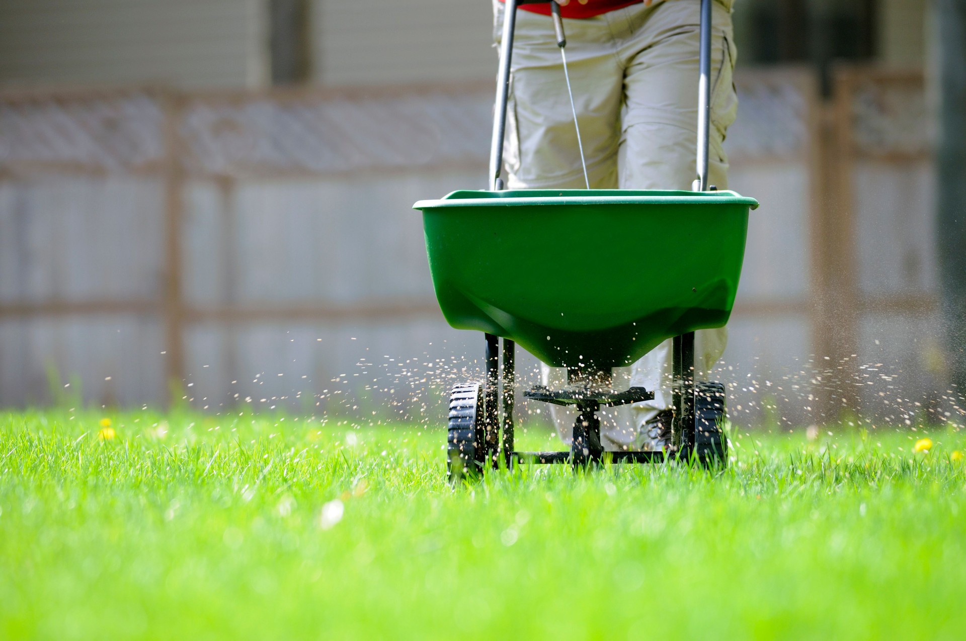 Landscaping in Nashville, TN
