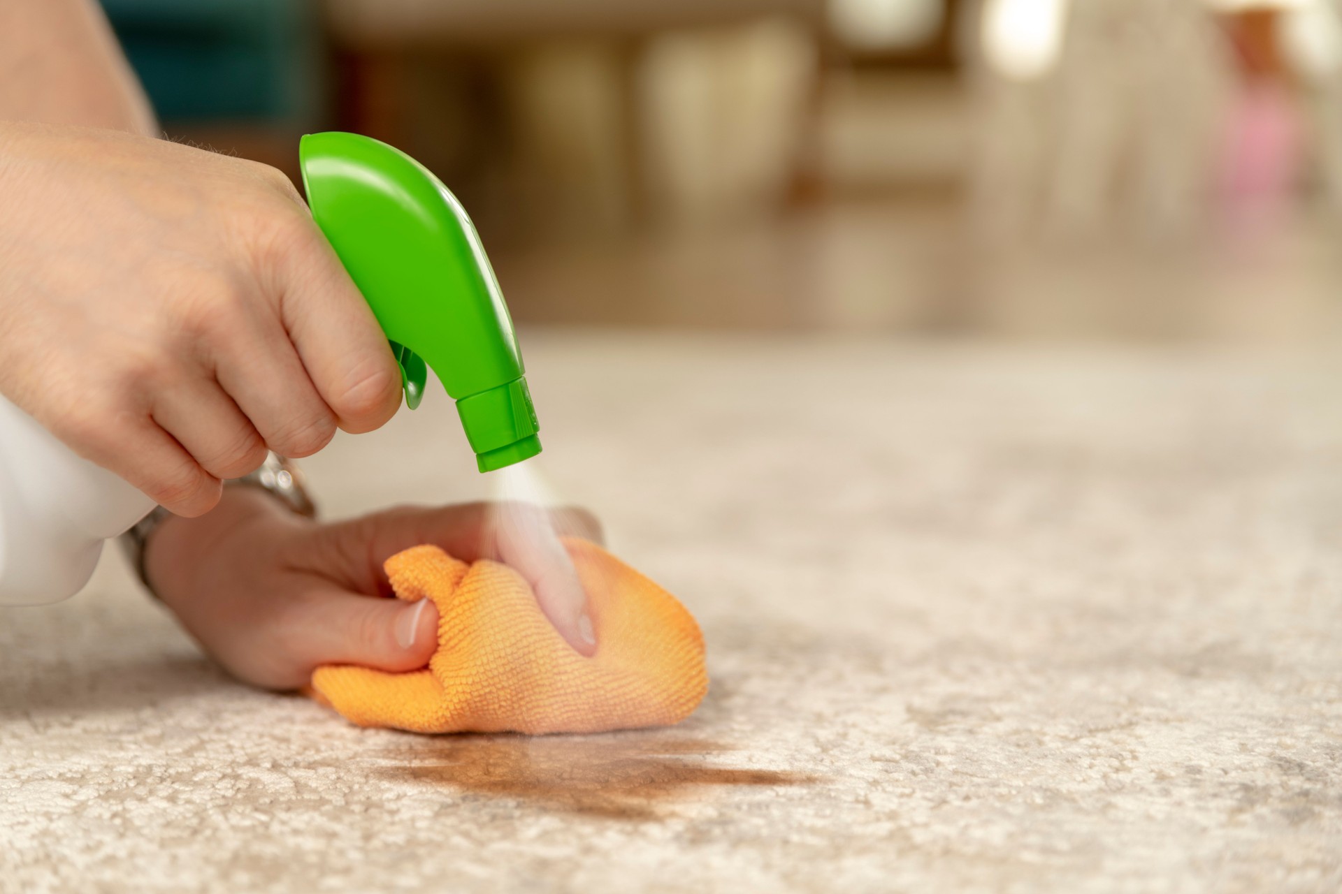 carpet cleaning in nashville, TN