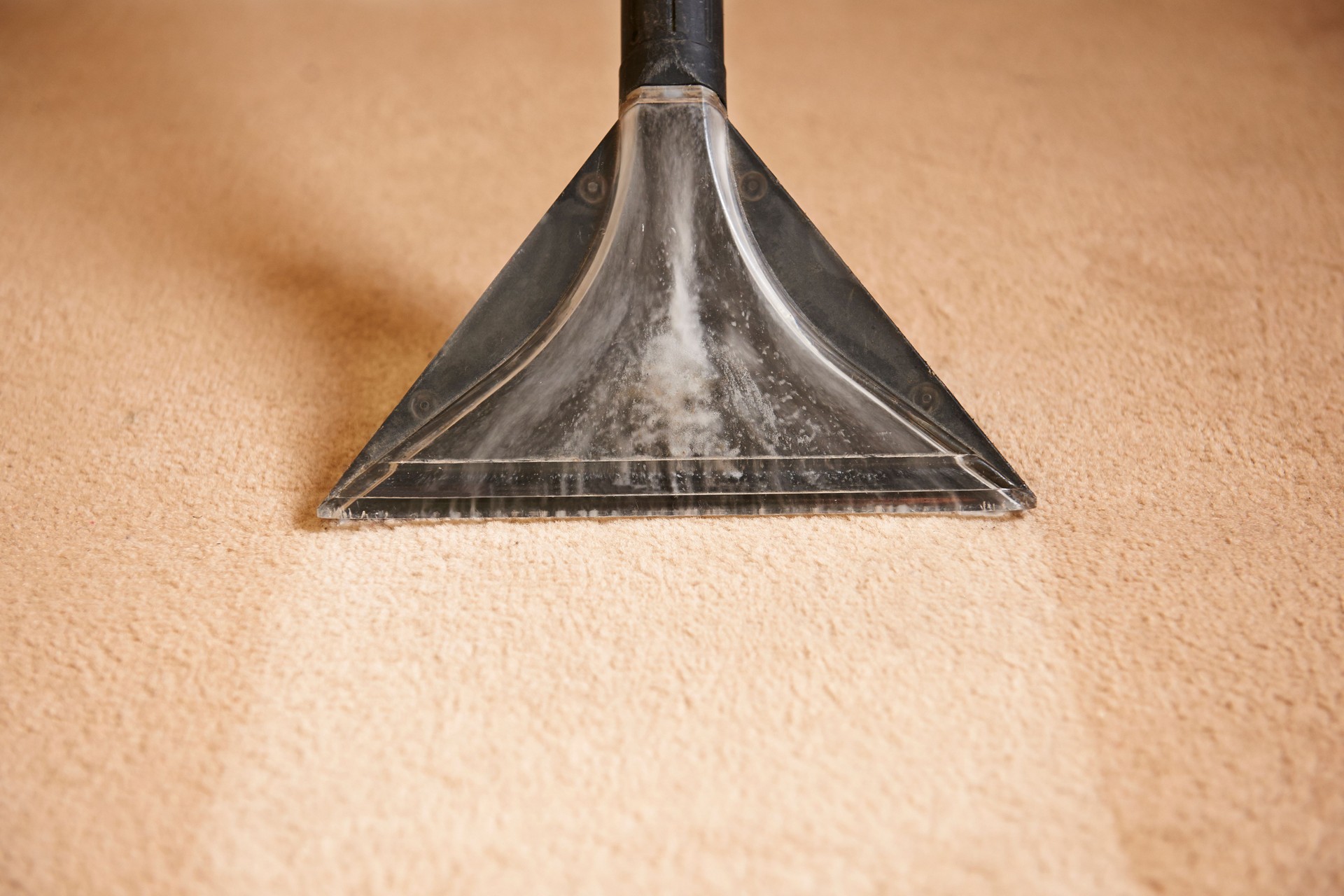 Carpet Cleaning in Nashville, TN